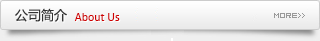 公司简介